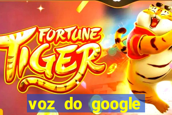 voz do google tradutor homem